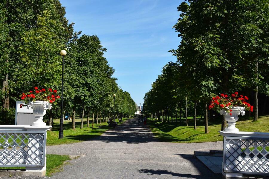 Парк Кардиорг в Таллинне